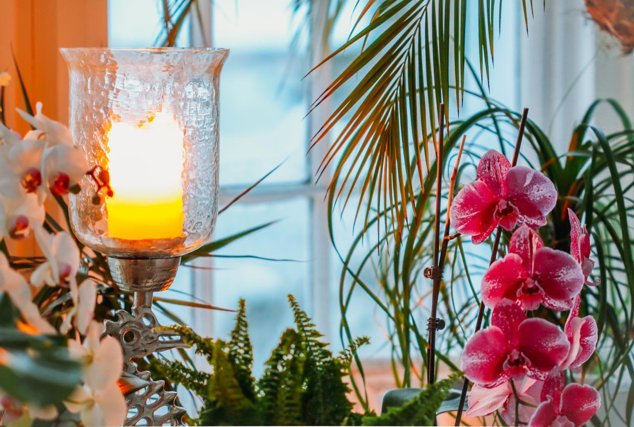 Star Of The Sea B&B Halifax Ngoại thất bức ảnh